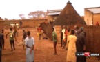 Drame à Nguet Ardo : la Foudre tue 4 personnes, faisant aussi  8 blessés à Dieyla