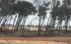 Litige foncier sur le littoral à Guédiawaye: Le préfet accusé