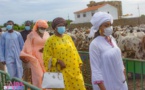 Touba 2021: Sokhna Aïda visite son troupeau pour le Magal avec ses coépouses (vidéo)