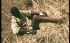 [Vidéo] Un chasseur de serpents géants se fait piquer par l'un d'eux