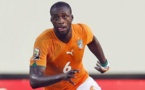 Yaya Touré sur twitter: « Les lions sont rois de la jungle, mais quand les éléphants passent, ils écrasent tout sur leur passage »
