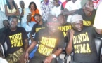 Idrissa Diop, Pacotille, Requin... Ces musiciens et inconditionnels de Wade 