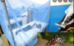 Saint-Louis: Des cas de dengue détectés dans la région