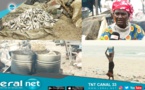 Transformatrices de poisson fumé ou "kéthiakh": Les doléances des braves du Sine à Macky Sall