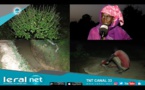 Richard-Toll: Pour soulager les cultivatrices, sauvez seulement "ndombo naana" et le tour est joué!