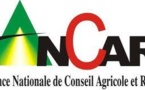 Tentative d'extorsion de fonds et abus de confiance: L'Ancar saisit le Procureur de la République 