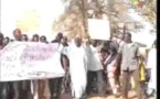 Journal du vendredi 15 novembre 2013 (Walf Tv)