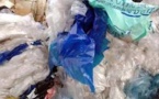 Trafic de sachets plastiques: Un dépôt clandestin chinois démantelé par la Douane