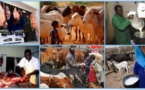 Production de lait et de viande: La souveraineté alimentaire, encouragée