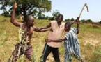 Pour la diminution des violences entre éleveurs et agriculteurs: Un CDD spécial sur la réglementation du parcours du bétail, tenu à Diourbel