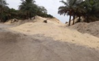 Drame écologique à Kayar: Des dunes de sable rasées (en cours) par des exploitants véreux 
