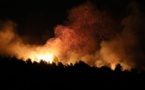 Sedhiou / Incendie de deux meules d’arachide de 27 hectares à Kocoumba: La piste criminelle privilégiée, des appels à la solidarité lancés