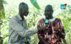 Ziguinchor: Mor Talla Touré, le président d’un groupement de taximen, livre son diagnostic sur leurs difficultés, les risques et entraves