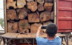 Graves révélations d’Ali Haïdar: « Chaque année, des milliers de conteneurs de bois quittent le Sénégal pour la Chine »