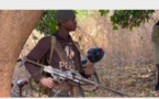 Gambie : Le MFDC libère les 7 soldats sénégalais (Vidéo)