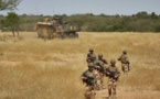 Fin de Barkhane au Mali: quelle place pour les pays du Golfe de Guinée dans le futur dispositif ?