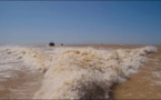 Meilleure stabilisation de la brèche de Saint-Louis: Alioune Ndoye, Ministre de la Pêche évoque les études en cours