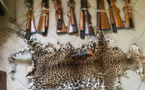 Criminalité faunique: 9 fusils de calibre 12 et une peau de léopard, saisis à Kolda