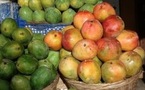 Promotion des fruits locaux : Le Sénégal expose au salon international de Berlin