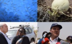 Mbodjène: La Fondation Veolia booste l'Aquaculture, avec l'installation de nouveaux bassins