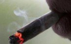 Pourquoi a-t-on si faim après avoir fumé un joint?