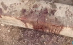 Sicap Mbao: Des assaillants tirent à bout portant sur deux personnes, un des leurs arrêté et conduit à...