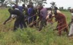 Mécanisation agricole Locafrique et la Saed signent une convention portant sur 7 milliards