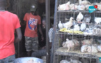 Thiès : Les vendeurs de poulets très remontés contre les ASP, interpellent le maire