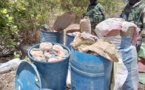 Djoundji, Elol, Guinea Djadioubé, Massaran: ces villages cartels démantelés par l'Armée, incroyables découvertes