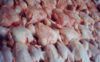 Veille de Korité : Le prix du poulet grimpe gravement