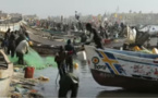 Documentaire voyage : Sénégal, le sage de l'Afrique - Dakar - Saint-Louis