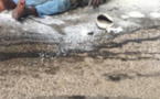 Sédhiou : un homme trouvé mort brûlé à Djittecounda