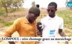 Loumpoul : Un village où il n'existe point de chômage grâce au maraîchage, leur production risque de....