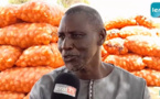 Endettement, cherté intrants, pourrissement de l'oignon... : Les cultivateurs de Ndiaye dans une situation critique