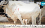 Kocc, éleveur, magnifie la générosité d’Oumar Sow, président des Eleveurs du Sénégal