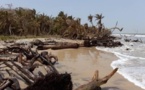 Commune de Diembéring : L’avancée de la mer menace l’écosystème de Nikine