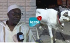 Mermoz: les Thiantacones offrent des moutons à Serigne Saliou Thioune qui va...