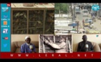 Grand RP : Diallo "Pithie", l'homme qui "parlait" aux oiseaux, un patrimoine qui plane depuis 1933