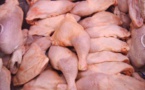 Mbour: 305 sacs de cuisses de poulet saisis