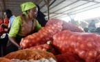 Le sac d'oignon vendu à 50 000 F Cfa à Touba