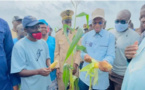 Développement de l’agriculture: Moussa Baldé annonce la construction de 1000 nouvelles fermes agricoles