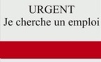 Leral/Job : Un jeune expert en développement durable cherche emploi 