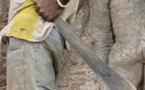 Fass Delorme: Armé d’une machette, le plombier Ibrahima C. s’attaque à ses voisins