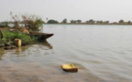 Inondations / Matam: Le fleuve n'a pas encore atteint sa cote d'alerte