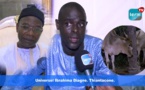 Touba Safar : Ibrahima Diagne Universel offre des bœufs et chameaux à Serigne Saliou Thioune