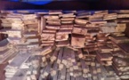 Les Eaux et Forêts portent l'estocade à un réseau de trafiquants de bois