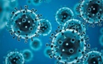 Coronavirus: baisse drastique des cas de contaminations