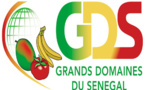 Grands domaines du Sénégal : un mouvement d’humeur des travailleurs