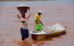 Tivaouane Peul-Niague Le Lac Rose, exutoire des eaux pluviales : Les exploitants de sel débordent de colère
