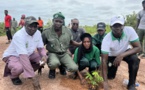 Koungheul: La Grande muraille verte, en collaboration avec la municipalité, plante 1 150 arbres